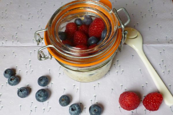 Descubre nuestra receta de avena con moras y babina Plus.