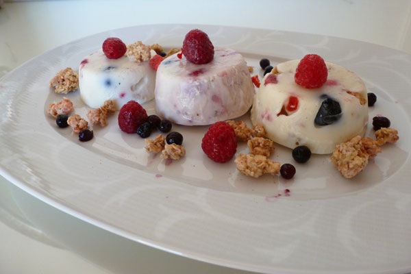 Receta de un delicioso helado de yogurt con moras y muesli con babina Plus.